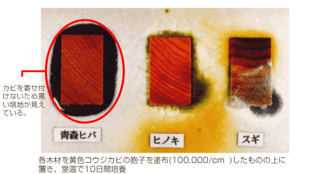 青森ヒバの効果検証