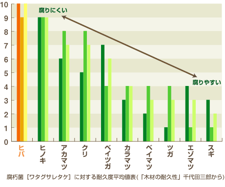 青森ヒバの効果検証