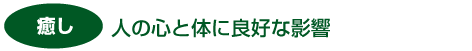 青森ヒバの効果検証